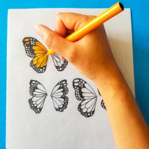 Design parchment butterflies